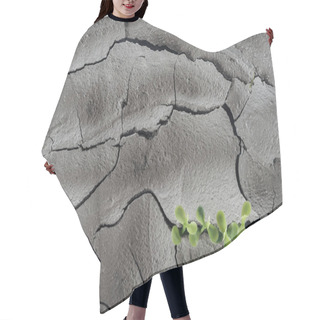 Personality  Young Green Plants On Dry Cracked Surface, Global Warming Concept Hair Cutting Cape