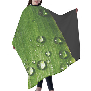 Personality  Green Leaves Of A Lily The Valley Hair Cutting Cape