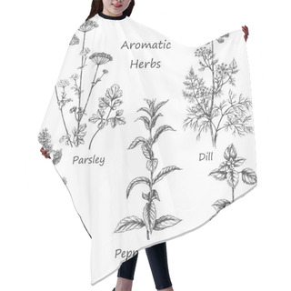 Personality  Hand Drawn Aromatic Herbs. Hair Cutting Cape