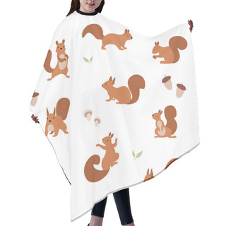 Personality  Vector Illustration. A Set Of Cheerful Squirrels Who Eat Nuts And Walk. Hair Cutting Cape