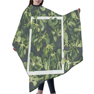 Personality  Top View Of White Square Frame And Beautiful Fresh Green Leaves  Hair Cutting Cape