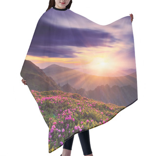 Personality  Beautiful Sunset In The Spring In The Mountains Hair Cutting Cape