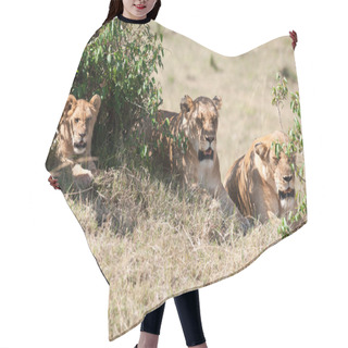 Personality  Lion Hair Cutting Cape