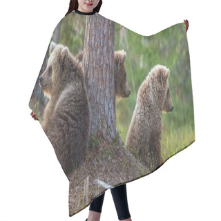 Personality  Cubs Of Brown Bear  Hair Cutting Cape