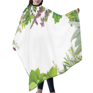Personality  Herbs Frame Over White Background Hair Cutting Cape