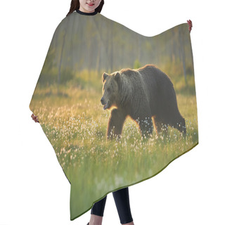 Personality  Wild Big Male Brown Bear In The Flowering Grass Hair Cutting Cape