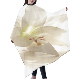 Personality  Flora And Founa Hair Cutting Cape