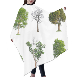Personality  Solated Big Tree On White Background Hair Cutting Cape