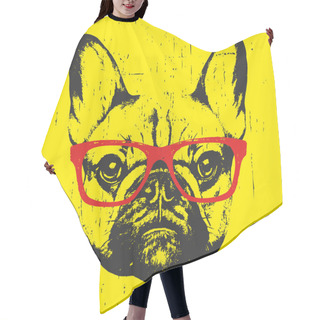 Personality  Portrait Of French Bulldog With Glasses Hair Cutting Cape