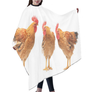 Personality  Red Roosters Hair Cutting Cape