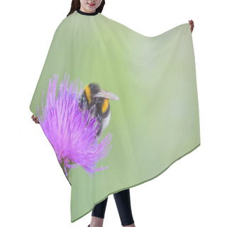 Personality  Bumblebee On A Spear Thistle Flower, Bee On A Purple Flower Hair Cutting Cape