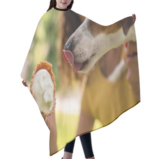 Personality  Cropped View Of Woman Feeding Jack Russell Terrier Dog With Tasty Ice Cream Hair Cutting Cape