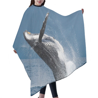 Personality  Humpback Whale Jumping Out Of The Water Hair Cutting Cape