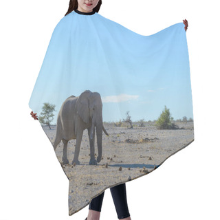 Personality  Wild Elephant Walking In The African Savanna Hair Cutting Cape
