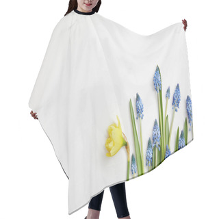 Personality  Top View Of Fresh Yellow Narcissus And Blue Hyacinths On White Background With Copy Space Hair Cutting Cape