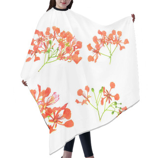 Personality  Peacock Flowers Hair Cutting Cape