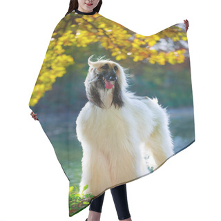 Personality  Animal Dog Hair Cutting Cape