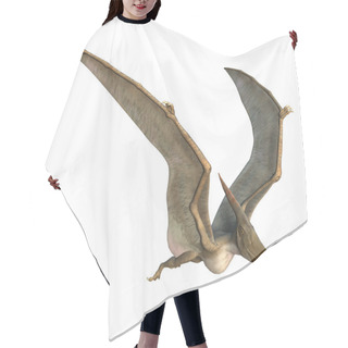 Personality  Pteranodon Hair Cutting Cape