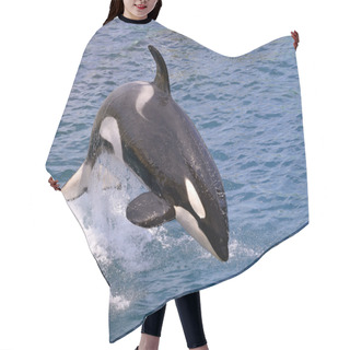 Personality  Killer Whale Jumping Out Of Water Hair Cutting Cape