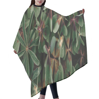 Personality  Full Frame Image Of Bronze Dutch Clover Covered By Water Drops Background  Hair Cutting Cape