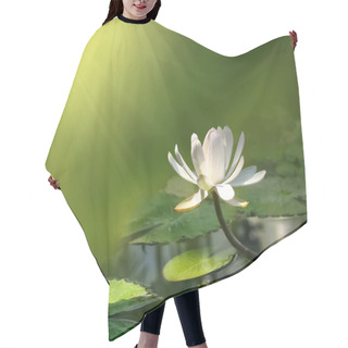 Personality  Water Lily Flower Hair Cutting Cape