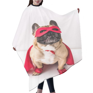 Personality  Dog In Superhero Costume Hair Cutting Cape