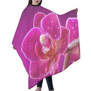 Personality  Mini Orchid On Pink Background Hair Cutting Cape