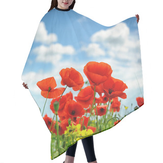 Personality  Poppies On Summer Field. Shallow DOF Hair Cutting Cape