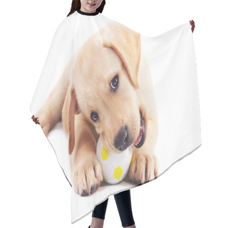 Personality  2 Month Old Labrador Retriever Puppy Chewing On A Ball Hair Cutting Cape
