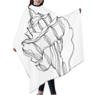 Personality  Vector Summer Beach Seashell Tropical Elements. Black And White  Hair Cutting Cape