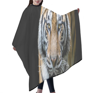 Personality  Tiger With A Black Background Hair Cutting Cape