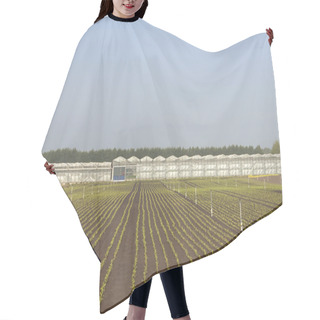 Personality  Commercial Greenhouses Hair Cutting Cape