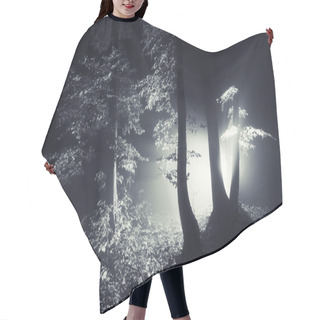 Personality  Sun Rays In A Dark Forest Hair Cutting Cape