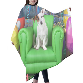 Personality  Photos Of Carnival With A Jack Russell On A Green Armchair Hair Cutting Cape