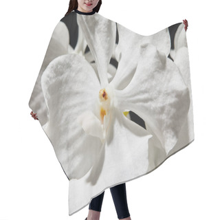Personality  Close Up View Of White Orchid Flower Isolated On Black Hair Cutting Cape