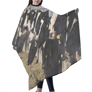 Personality  Dairy Cows Hair Cutting Cape