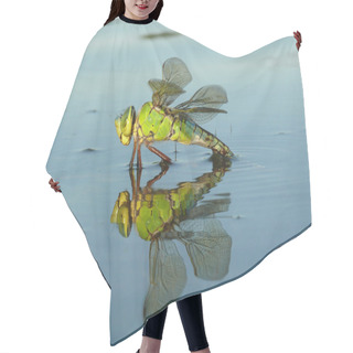 Personality  Dragonfly Reflection Hair Cutting Cape