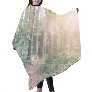 Personality  Magic Forest Landscape Hair Cutting Cape