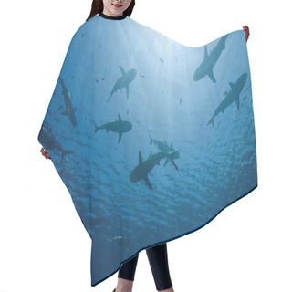 Personality  Sharks Hair Cutting Cape