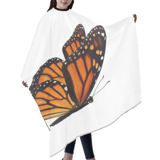 Personality  Monarch Butterfly Flying Hair Cutting Cape