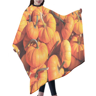 Personality  Pumpkins Hair Cutting Cape