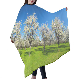 Personality  Apple Groove Hair Cutting Cape