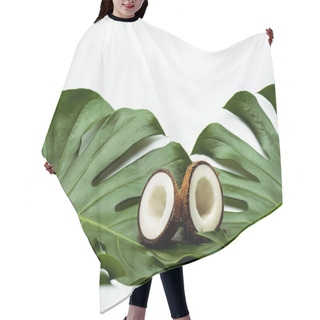 Personality  Green Palm Leaves And Coconut Halves On White Background Hair Cutting Cape