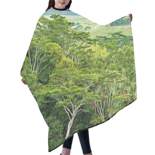 Personality  Rain Forest Mauritius Hair Cutting Cape