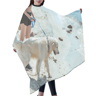 Personality  Cropped Image Of Woman Walking Golden Retriever By Sea Hair Cutting Cape