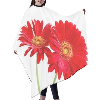 Personality  Red Gergera Flower Hair Cutting Cape