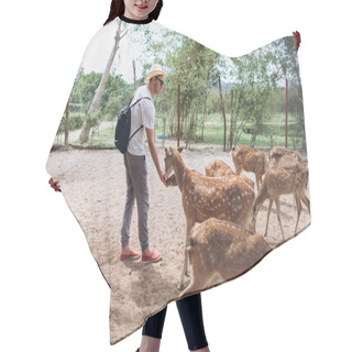 Personality  View Of Kind Man Feeding Deers Outside Hair Cutting Cape
