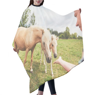 Personality  Miniature Horses On The Pasture Hair Cutting Cape