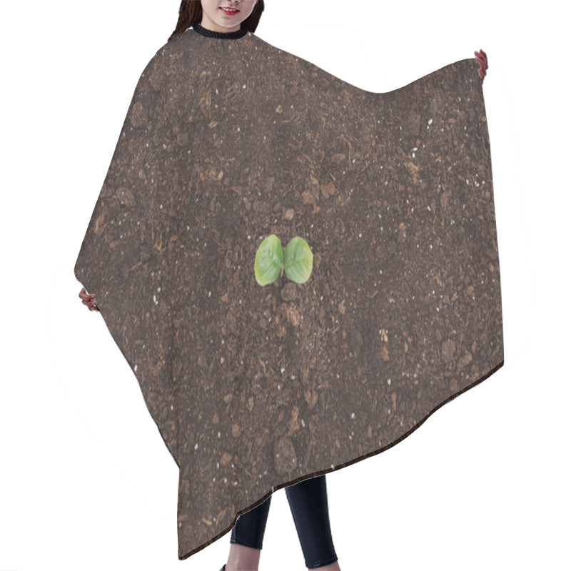 Personality  Top View Of Ground With Green Plant With Leaves, Protecting Nature Concept  Hair Cutting Cape