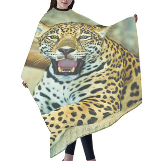 Personality  Jaguar In Central America Hair Cutting Cape